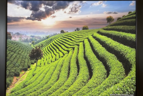Green Landscape Painting